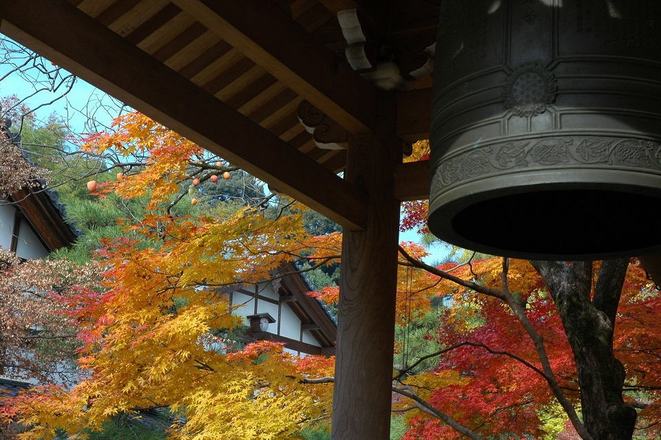 Kyoto Jojakkoji Temple | Take the Steps to the Tasteful Dava Gate