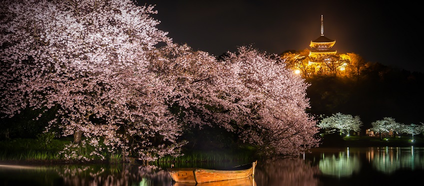 Essence of Spring | Hiroshima<span class=