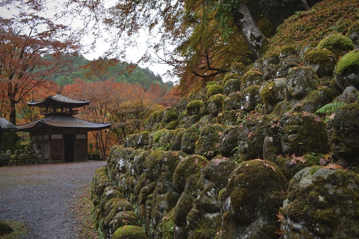 Hidden Temples in Kyoto