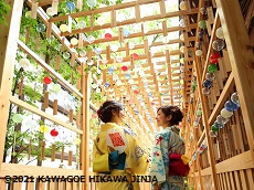Hikawa Shrine (JDT Recommends)