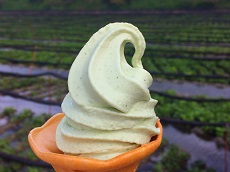 Wasabi Ice Cream (JDT Recommends)