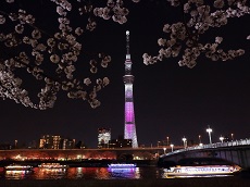 Tokyo Skytree (JDT Recommend)
