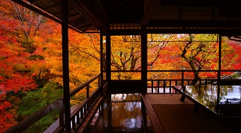 Autumn Japan Tours 2024