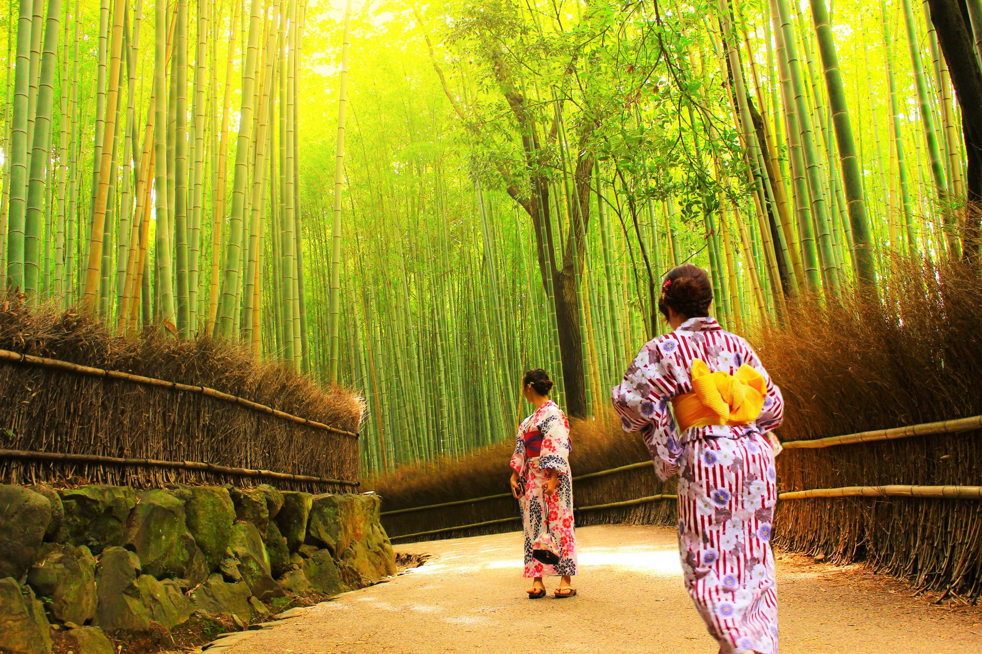 The Town of Bamboo Groves