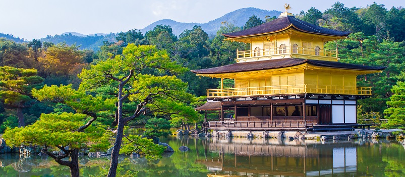 SILVER SHADOW Japan Private Tour 7 Days