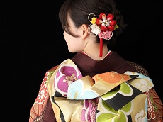 Kimono Experience (Optional)