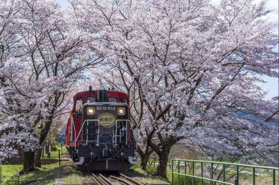 A Journey Through Time and Nature