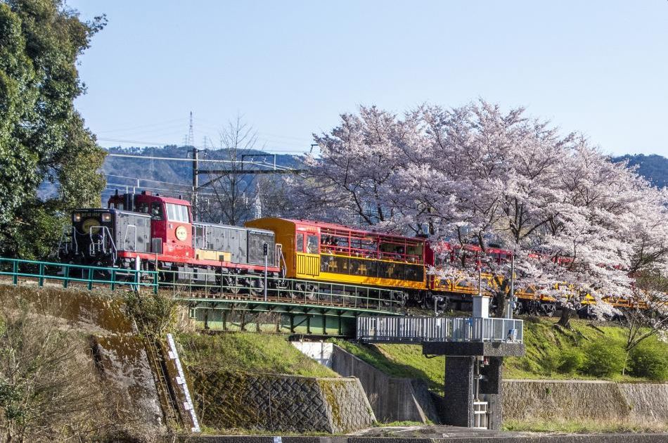 Exploring the Tranquil Beauty of Sagano