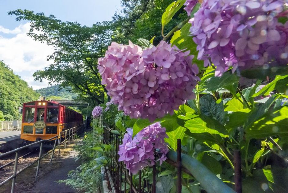 Captivating Sights Along the Way