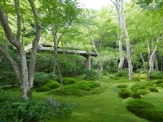 Gio-ji Temple