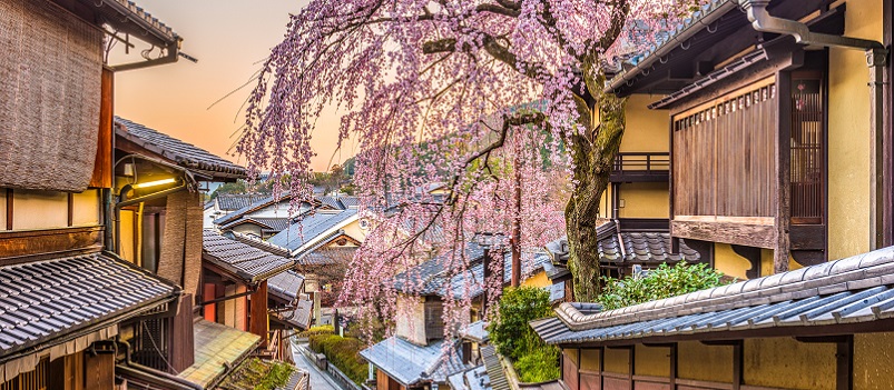 Luxury Private Tour Japan 8 Days