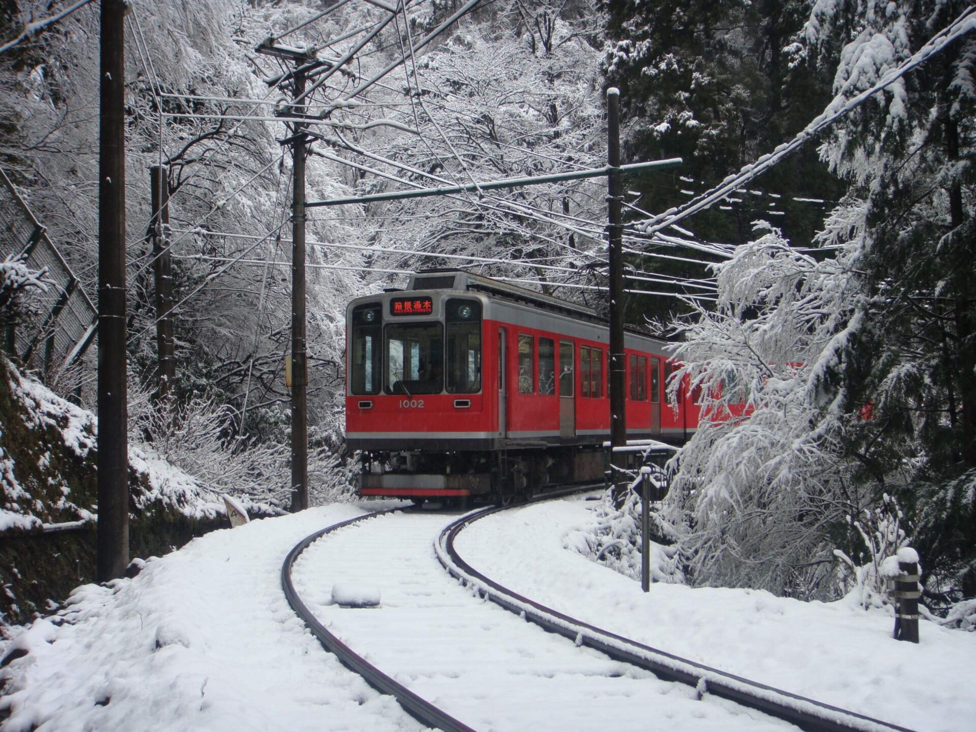 Winter Charm – Snow and Serenity