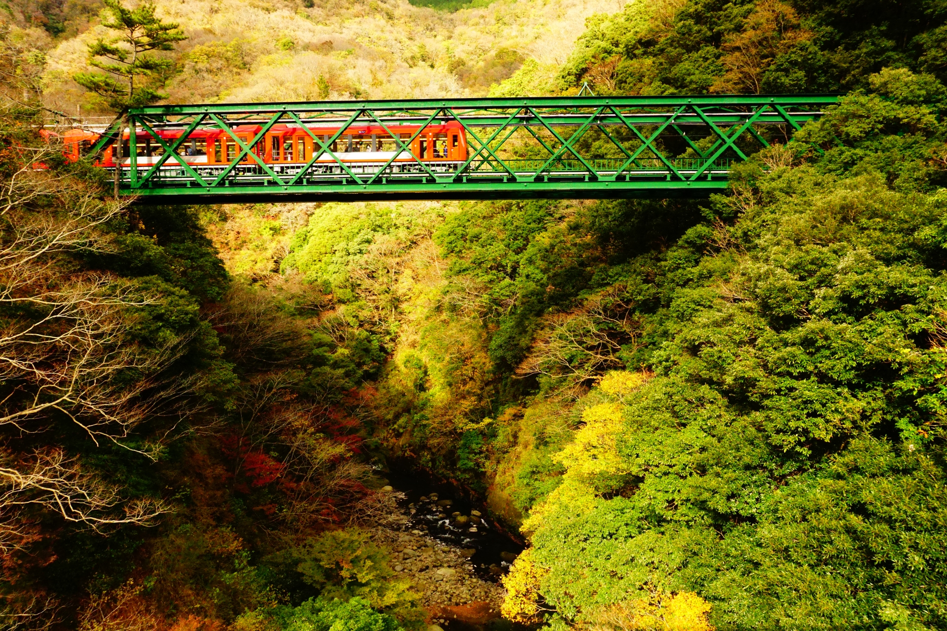 Bridges, Tunnels, and Engineering Wonders