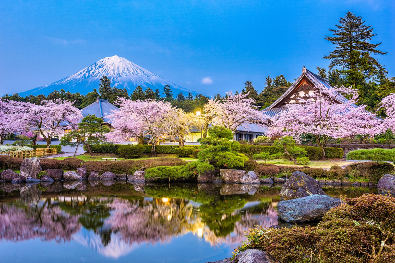 Essence of Spring | Hiroshima