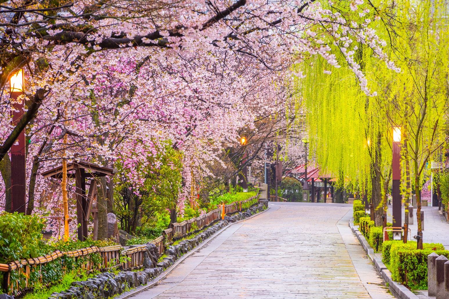 Essence of Spring | Grand Tour