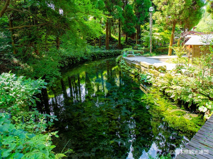 Shirakawa Water Source