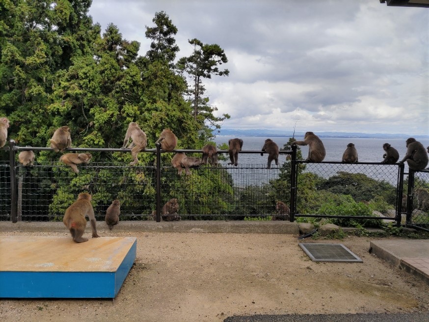 A Fun and Educational Stop Near Beppu’s Famous Hot Springs