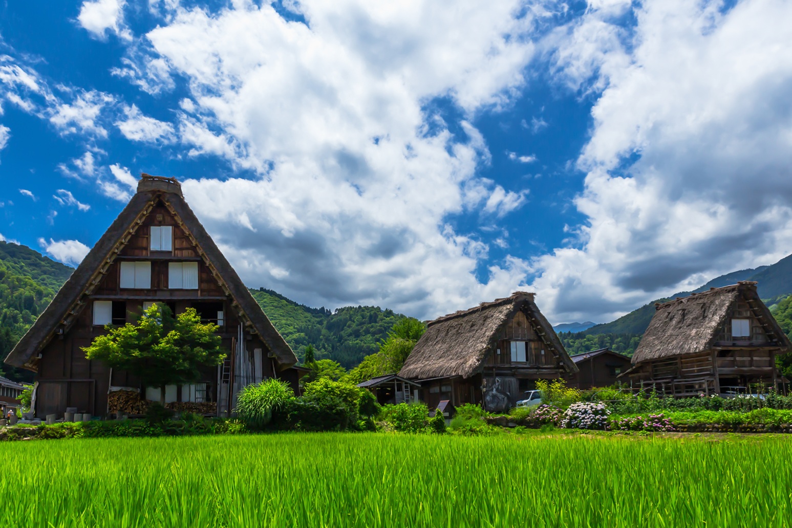 Takayama & Villages | Hidden Trail