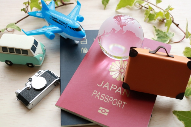 Guidelines for entering Japan