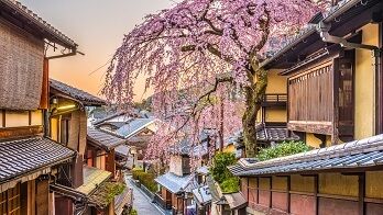Discover Japan | 10 Days