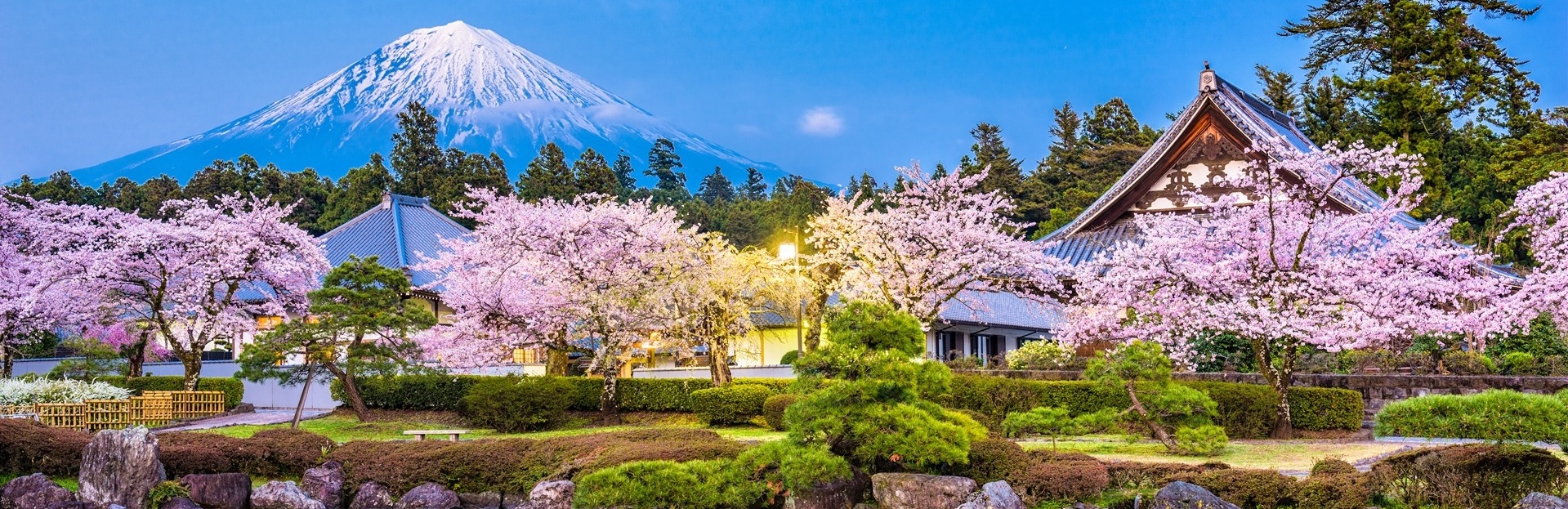 Japan small-group and private tours hero image with scenic view