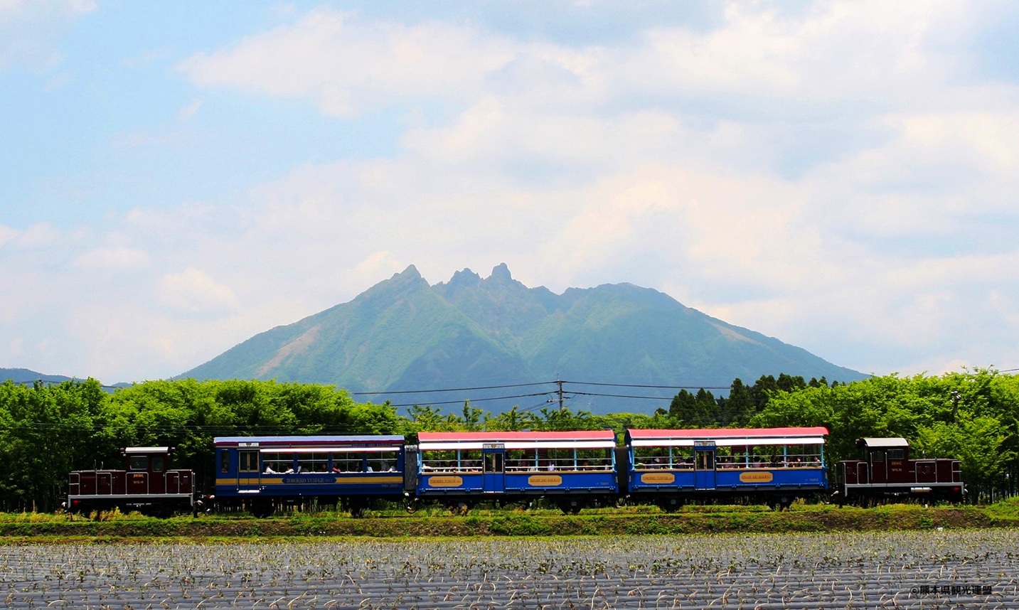 Essence of Spring | Southern Japan + USJ<span class=