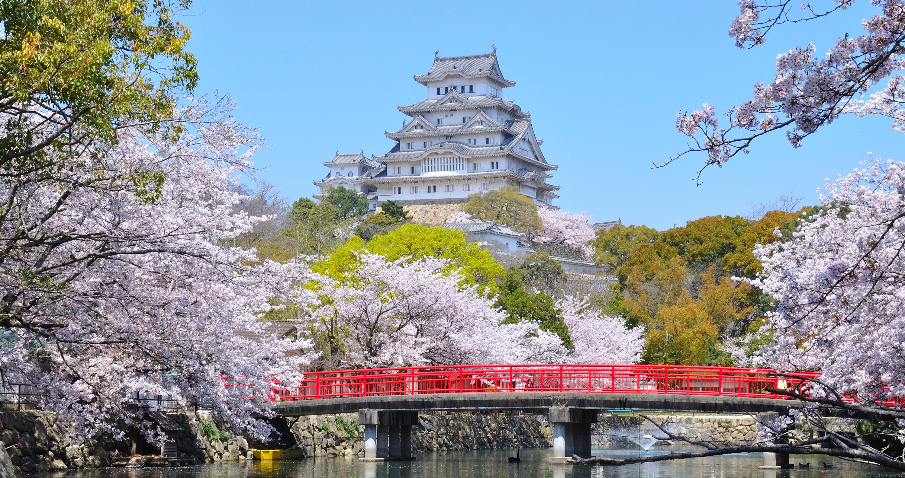 Essence of Spring | Southern Japan + USJ<span class=