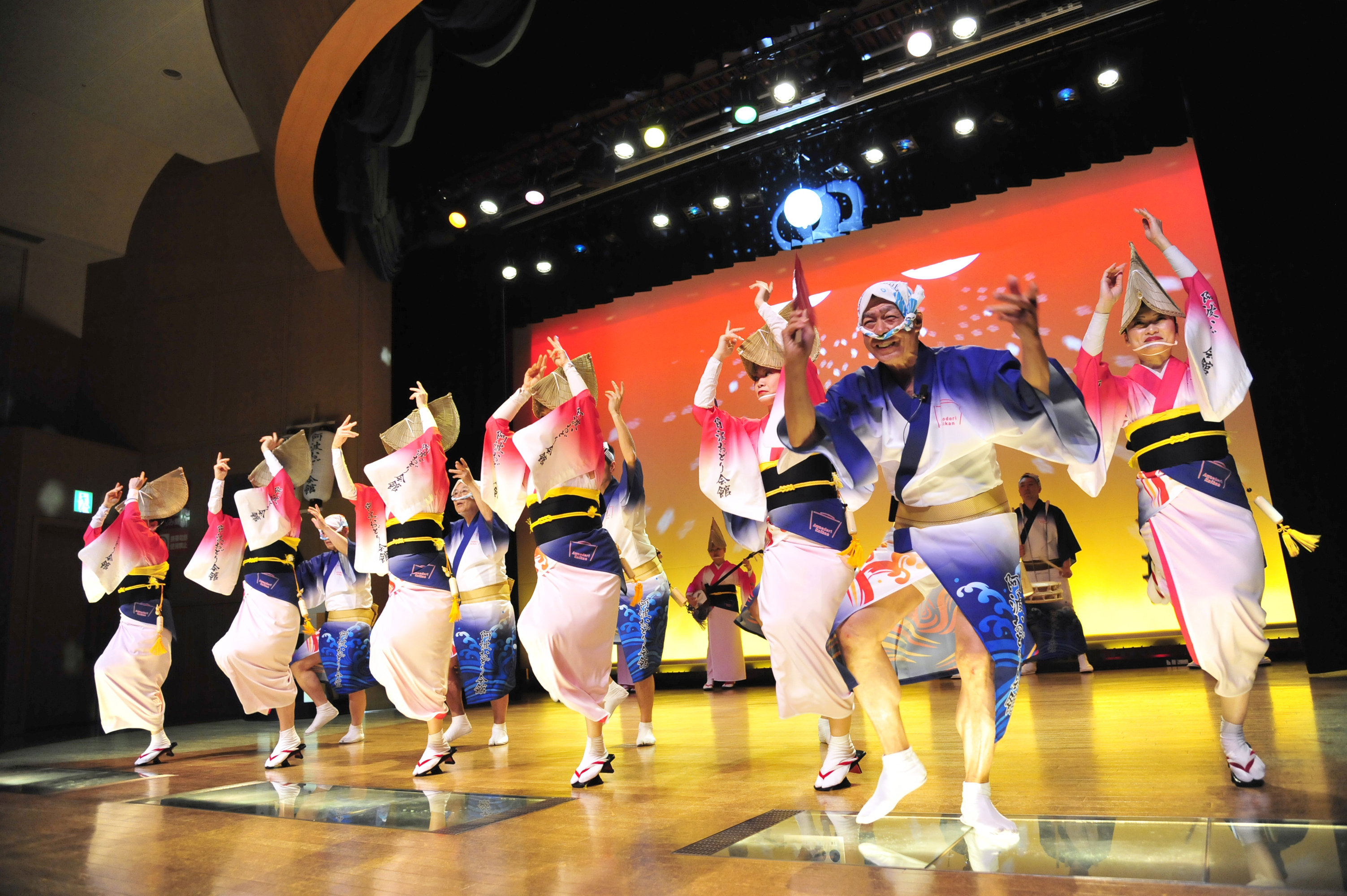 Essence of Spring | Southern Japan + USJ<span class=