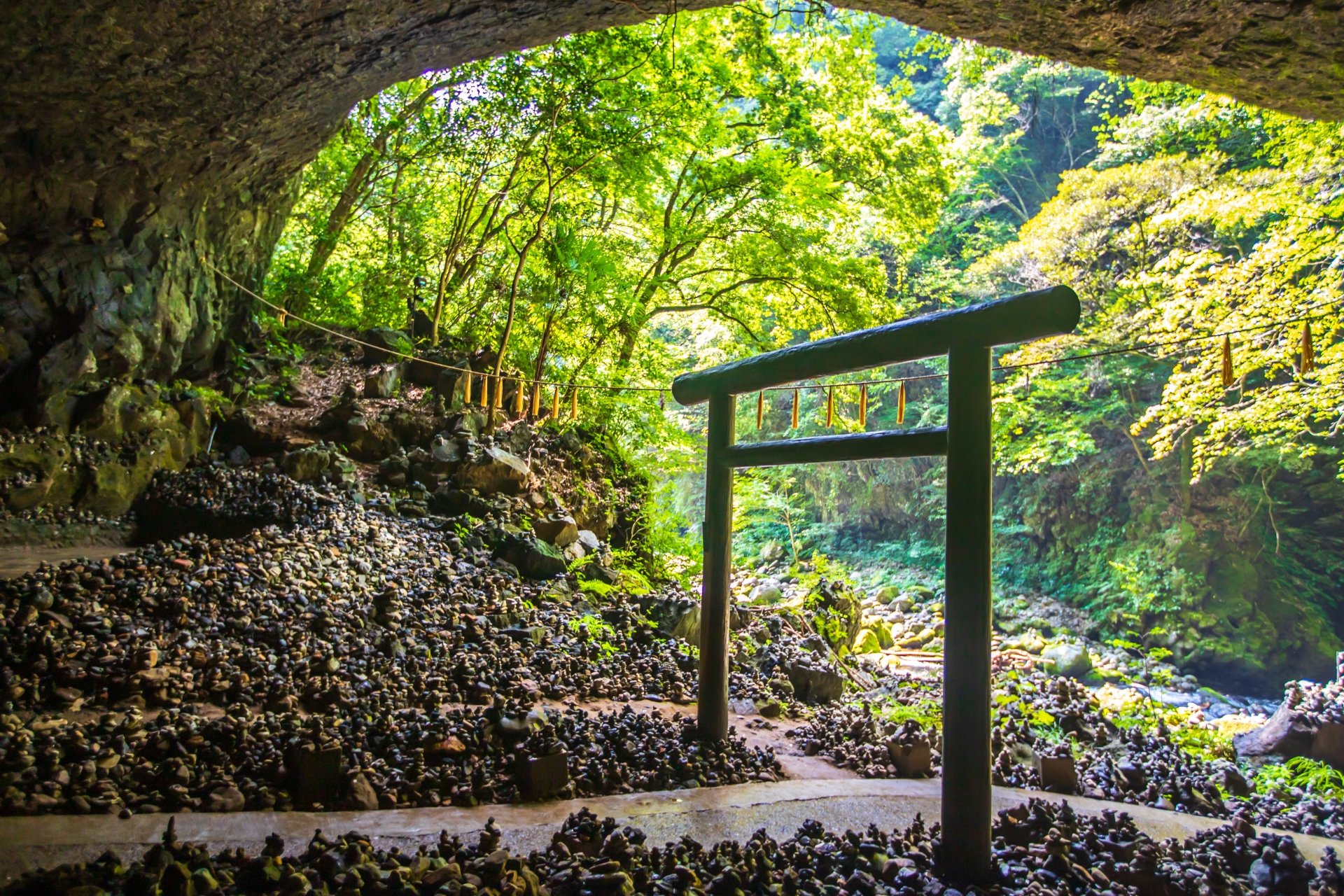 Essence of Spring | Southern Japan + USJ<span class=