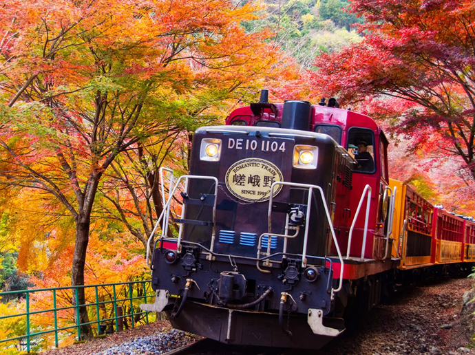 Sagano Romantic Train (Optional)